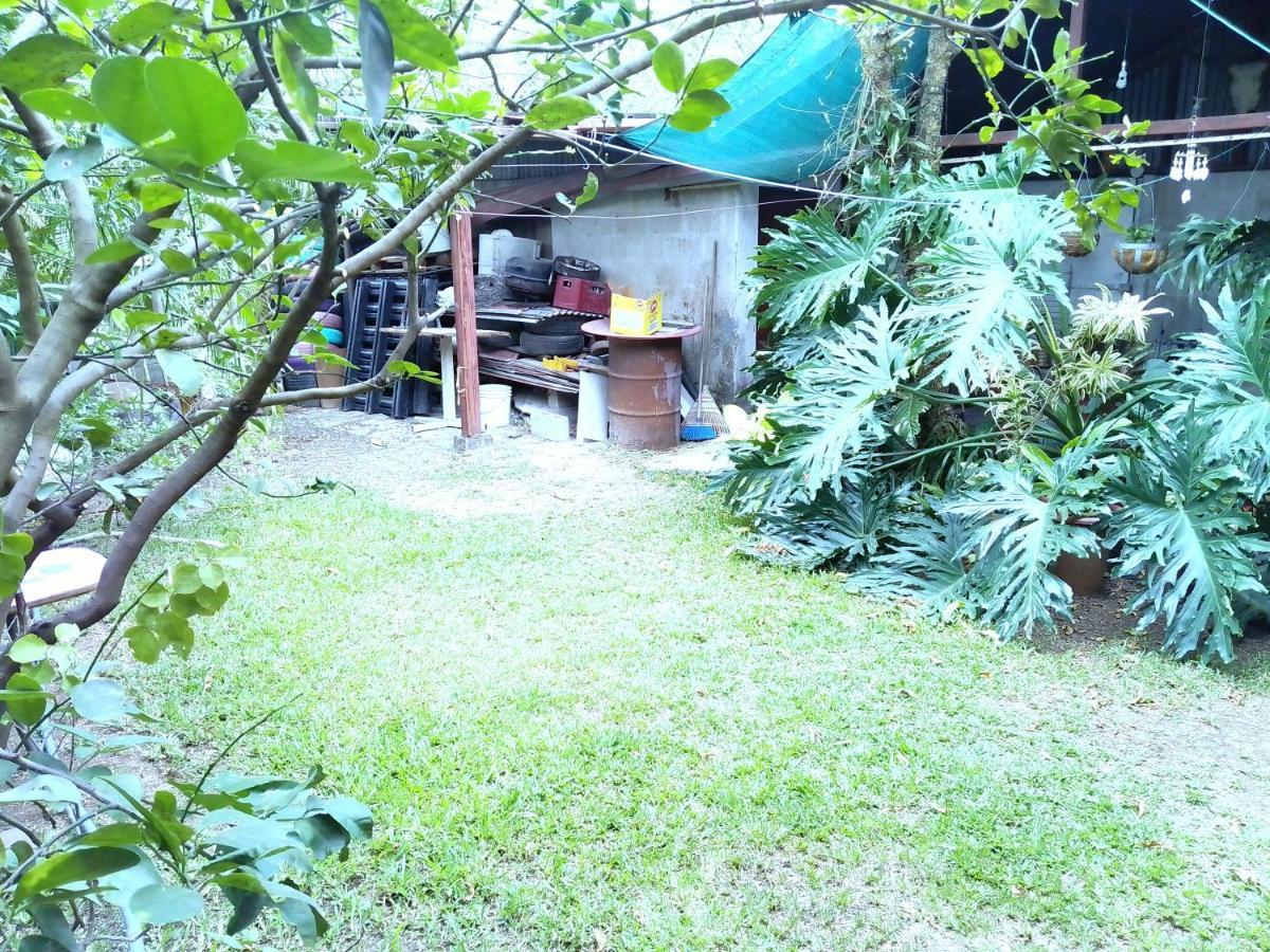 Alexander B&B Alajuela Dış mekan fotoğraf