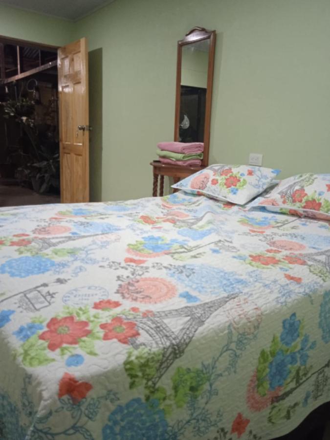 Alexander B&B Alajuela Dış mekan fotoğraf