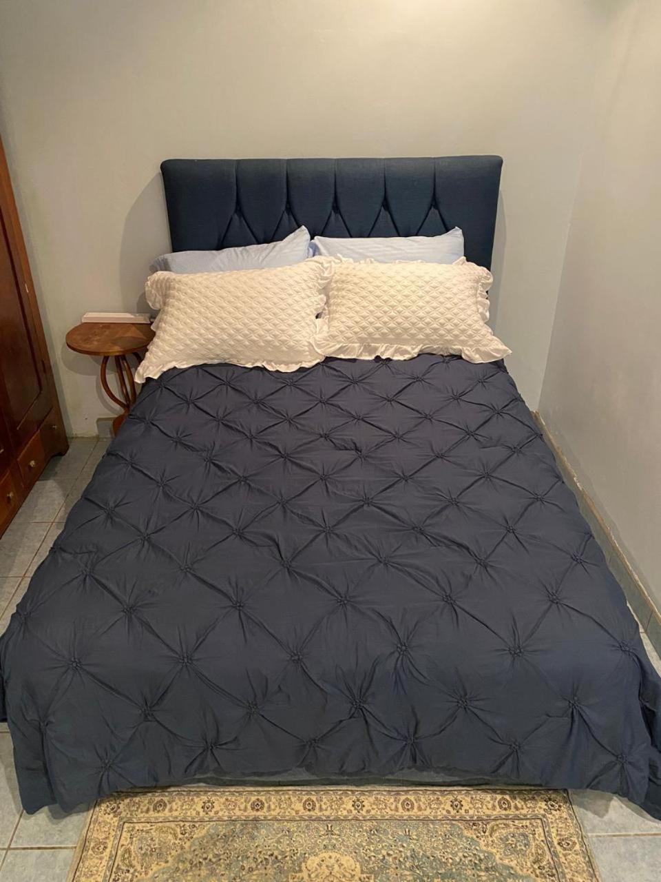 Alexander B&B Alajuela Dış mekan fotoğraf