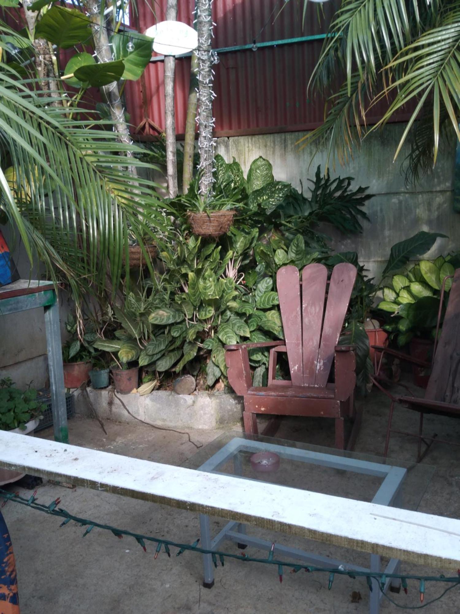 Alexander B&B Alajuela Dış mekan fotoğraf